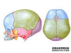 婴儿入口门好坏。
