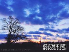 兆霞会出来吗接下来的句子是什么？