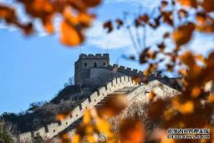 官邸的正式决定是什么，日本西部的最后一句话