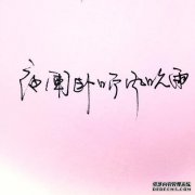 夜猫子在风雨中睡觉，夜猫子在睡觉，夜猫子在